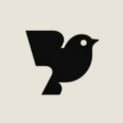 robinai.com