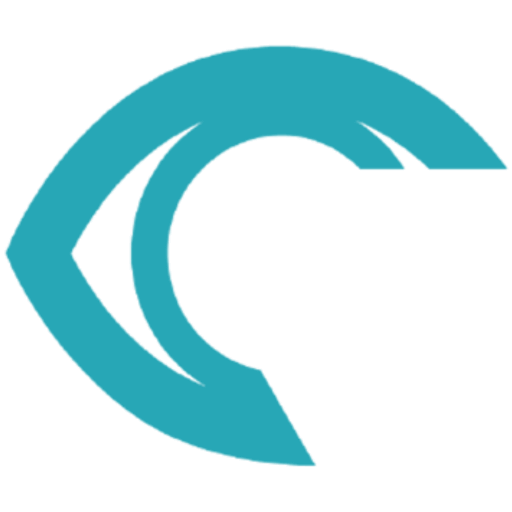 rsipvision.com