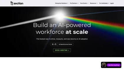 Section AI